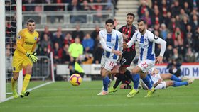 'He Has Done Really Well' - Brighton Boss Hints Balogun Could Start Against Arsenal 