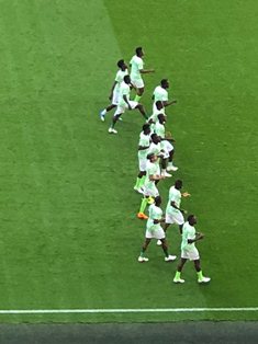 Super Eagles Player Ratings: Iwobi A Menace, Ogu Purposeful, Moses Hot & Cold, Onazi & Obi Flop